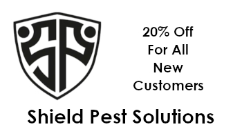 Pest Control Coupon On Lowcountry Coupons